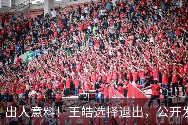 出人意料！王皓选择退出，公开发声回应缘由，乒协意外批准这项决定